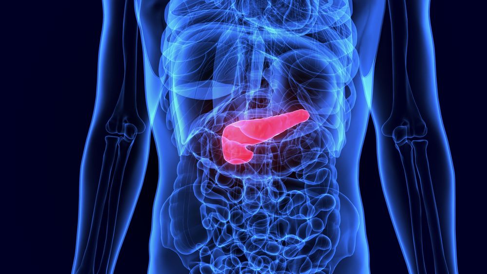 Treatment outcomes of concurrent hyperthermia and chemoradiotherapy for pancreatic cancer: Insights into the significance of hyperthermia treatment